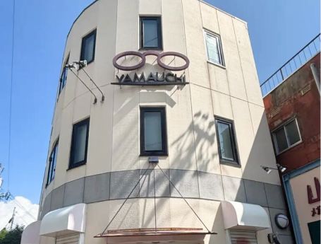 他社では落としきれなかった、長年の苔やカビが蓄積した3階建て建物の掃除事例。外壁診断士が汚れの層を分析し、外壁洗浄専門店WASHERS（ウォッシャーズ）の確かな技術力で根本から洗浄。診断に基づいた誠実なメンテナンスで、建物を清潔な状態へと導いた実績を表現。