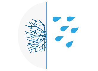 薬剤洗浄のイラスト