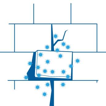 部分的な劣化が及ぼす影響を説明するイラスト。外壁のひび割れからカビや藻が繁殖し、建物の素材そのものを脆くさせるリスクを表現。深刻なダメージになる前に外壁洗浄で対処する、誠実なメンテナンスの重要性を紹介。