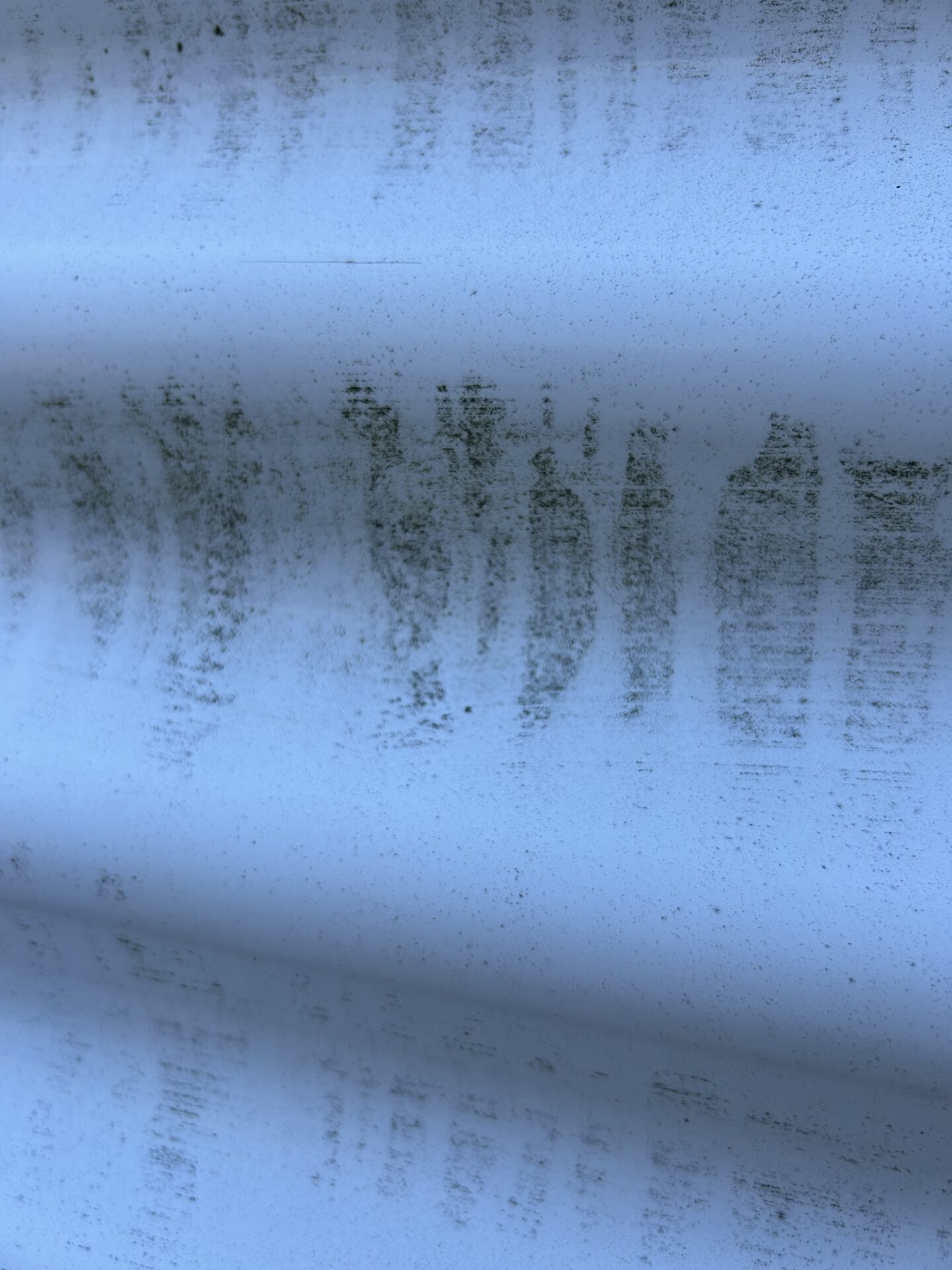 コケ・排気ガス汚れ