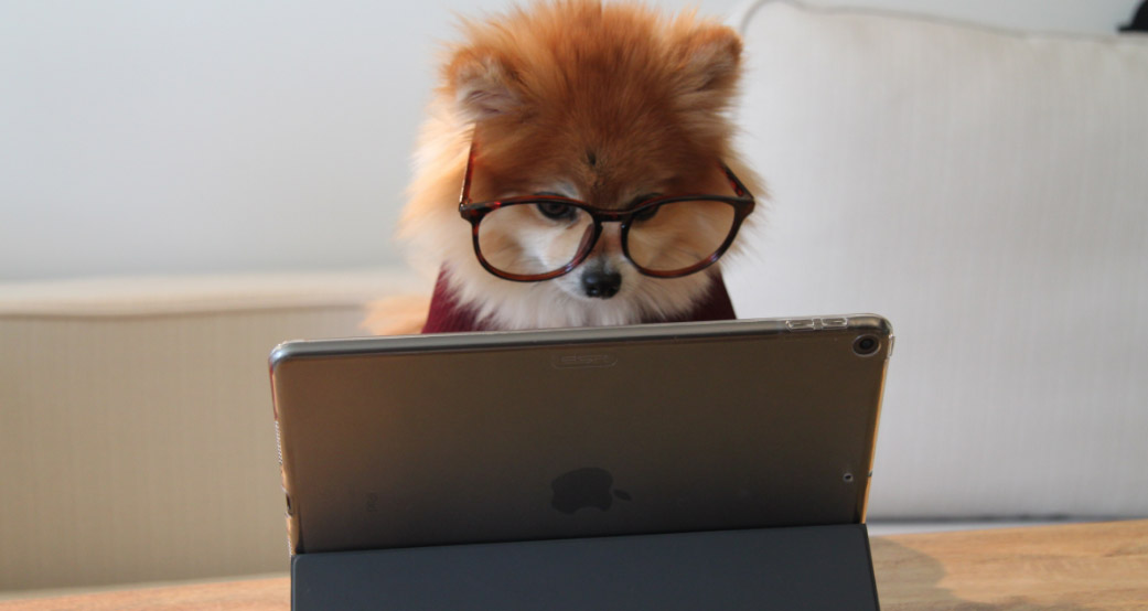 ホームページを開設しました。