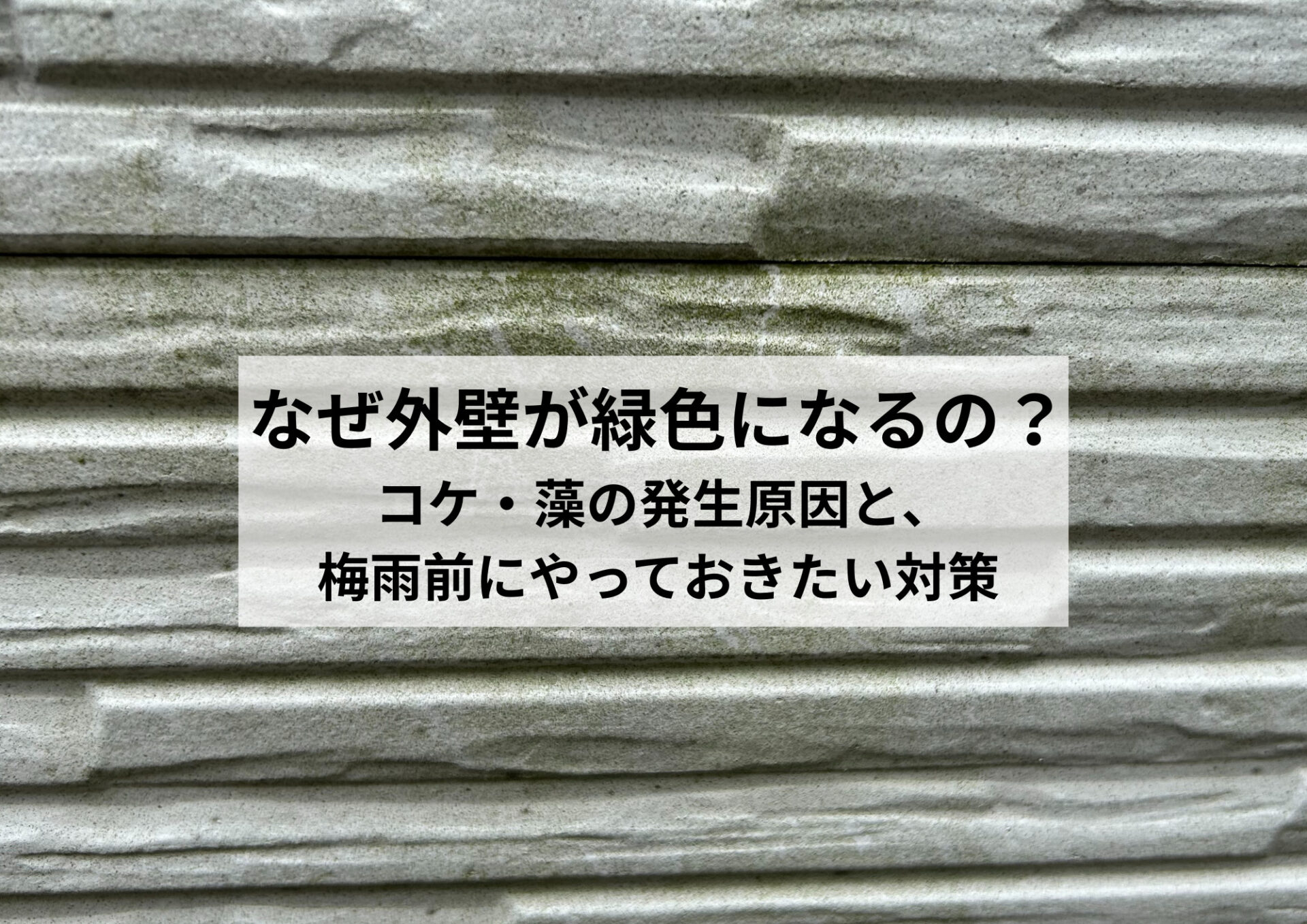 なぜ外壁が緑色になるの？ コケ・藻の発生原因と、梅雨前にやっておきたい対策
